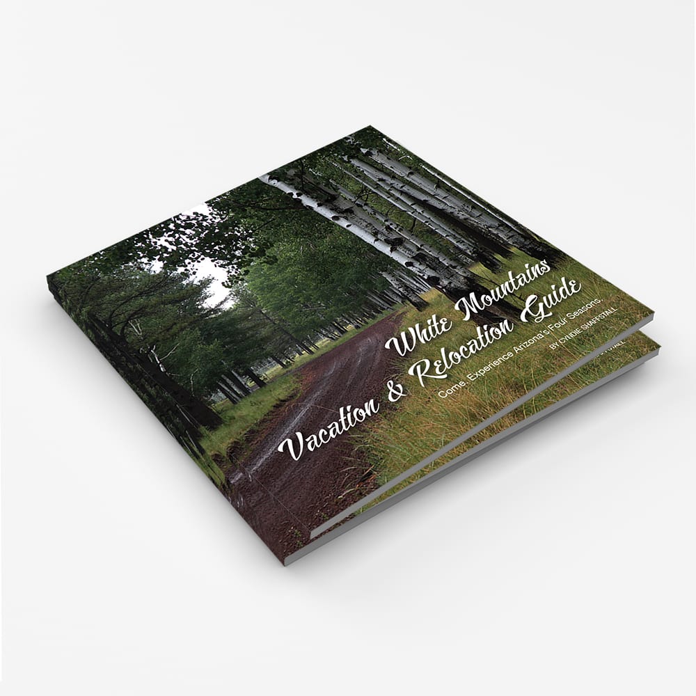 White Mountains Vacation & Relocation Guide stack (image)